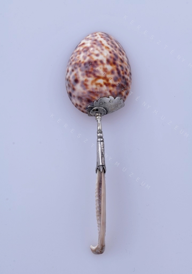 Spoon