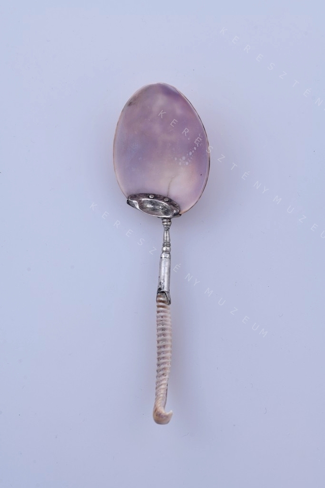 Spoon